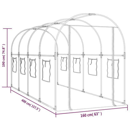 Kweekkas – Tuinkas – Broeikas – Serre – Kas – Transparant PVC – Gepoedercoat Stalen Frame – 160x400x190 cm