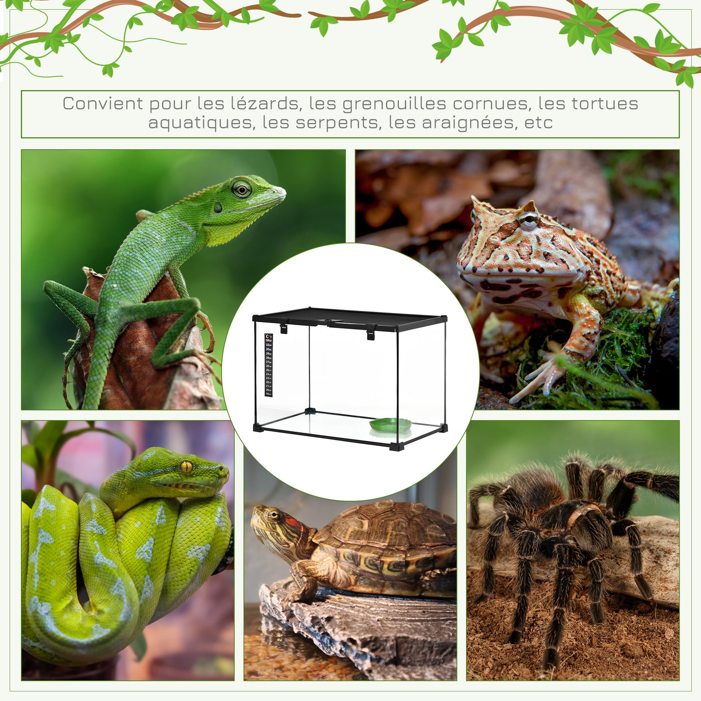Terrarium – Reptilienbox – Faunarium – Vivarium – Habitat – Gehard Glas – Metalen Gaas Ventilatie – 50x30x35 cm – Schuifdeksel Transparant