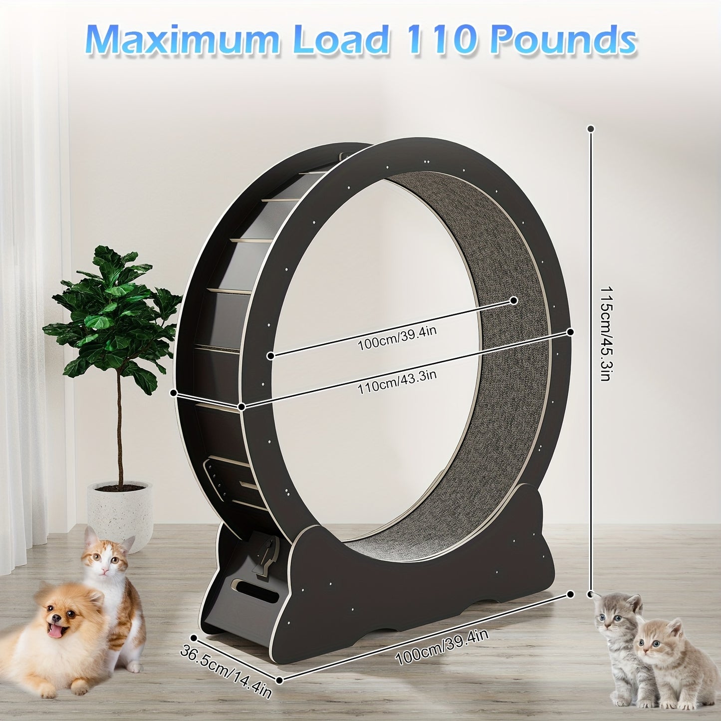 Large Cat Exercise Wheel 101.6 cm - Black Solid Wood Cat Wheel Trainer for Indoor Cats with Locking Safety Cat Treadmill with Minimal Gap Design, Cat Exercise Wheel for Indoor Cats, Cat Wheel Exerciser, Extra Large Cat Exerci