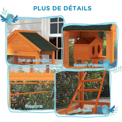 Vogelkooi – Vogelkooi Hout – Papegaaienkooi – Buitenkooi – Parkietenkooi – Ruim Formaat 92x52x171 cm – Waterdicht Asfalt Dak – Oranje