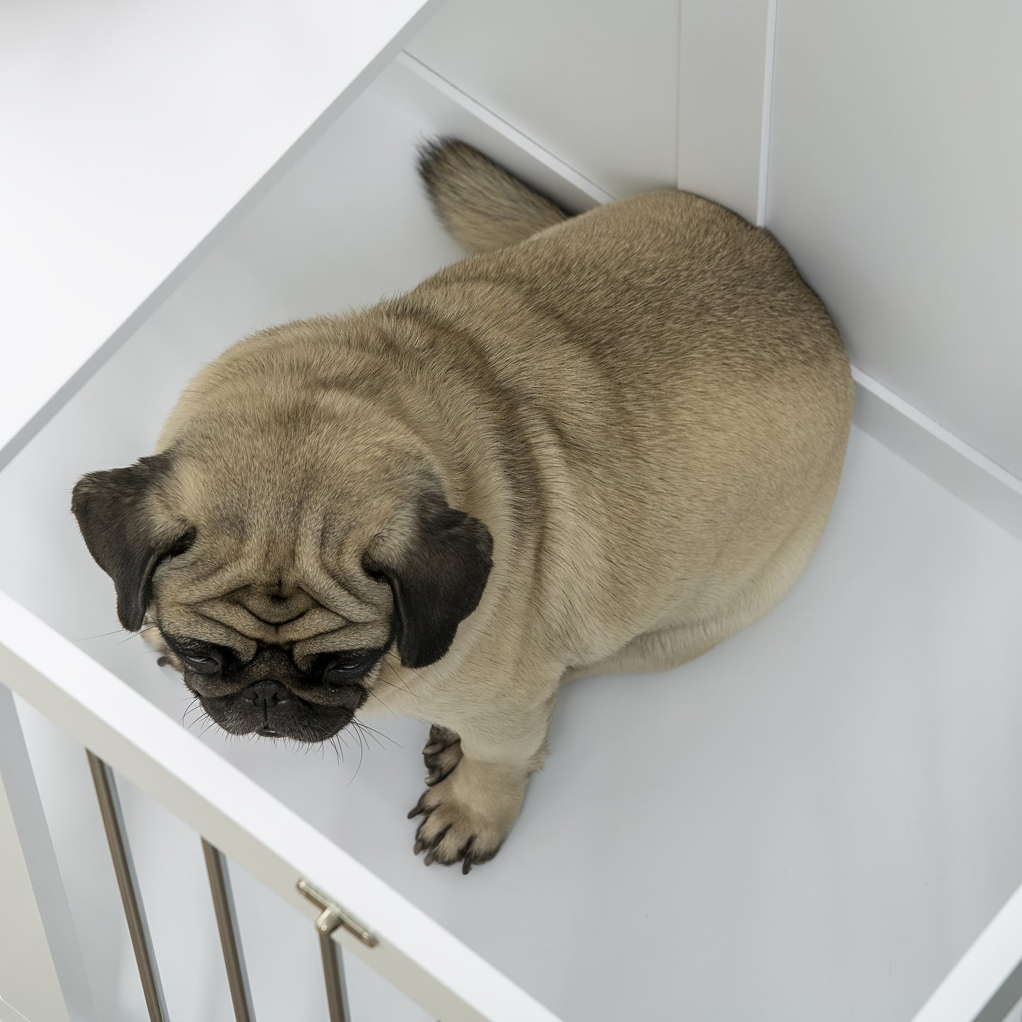 Hondenbench – Hondenkooi – Hondenhok – Bench Voor Middelgrote Honden – Dierenbench – Wit – Aluminium – 80x50x56,5 cm – Met Deur En Transportfunctie