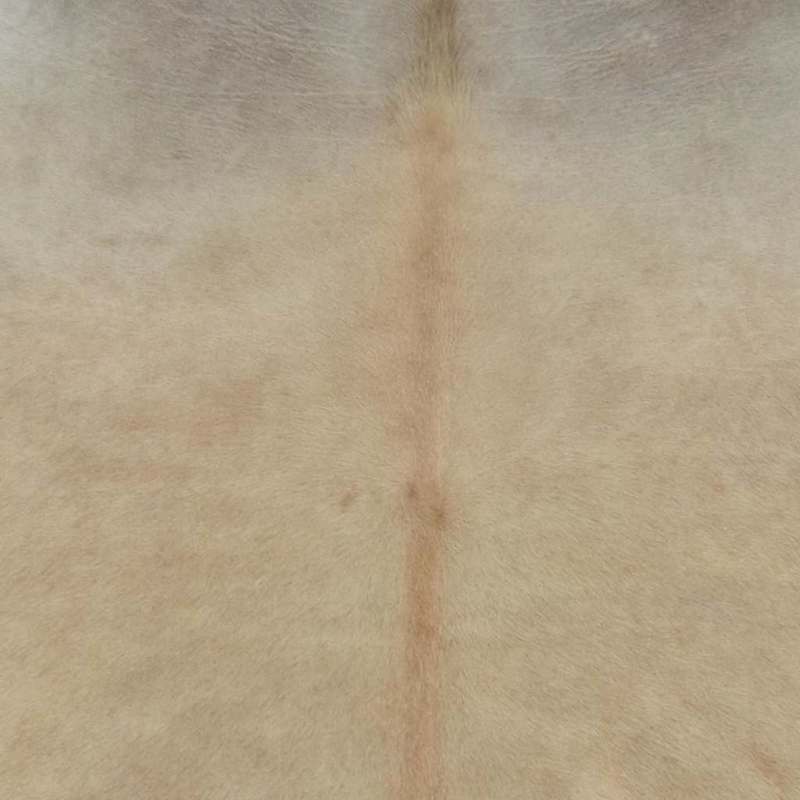 Koeienhuid Mat – Vloerkleed – Schapenvacht Tapijt – Beige – 180x220 cm – Duurzaam Polypropyleen – Zacht & Verend