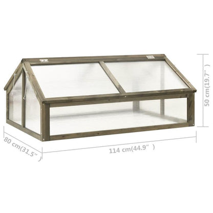 Plantenkas – Tuinkas – Kweekkas – Foliekas – Plantenbescherming – Compact 114x80x50 cm – Duurzaam PVC Materiaal – Geschikt Voor Meerdere Seizoenen