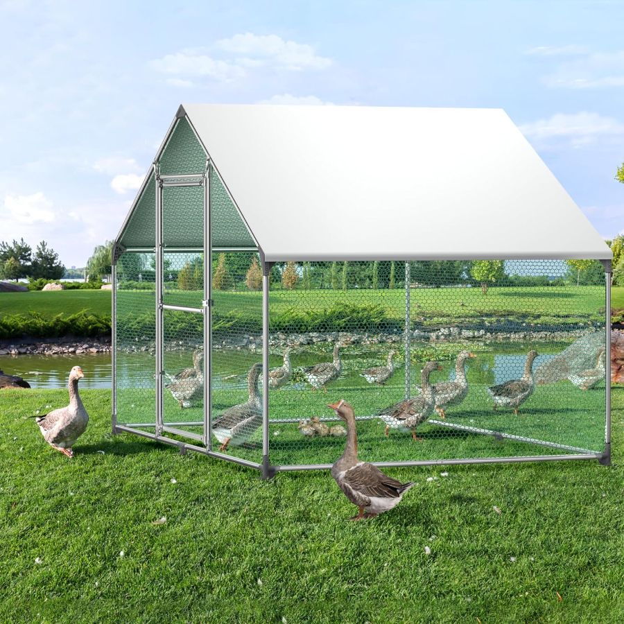 Kippenhok – Kippenren – Pluimveehok – Dierenverblijf – Kippenkooi – Gegalvaniseerd Stalen Frame – Inclusief Veiligheidsdeur met Slot – Afmeting 3x4x2 m