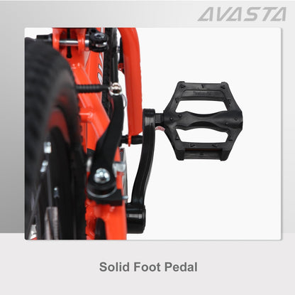 AVASTA 20 inch fiets BAG1006YS20or