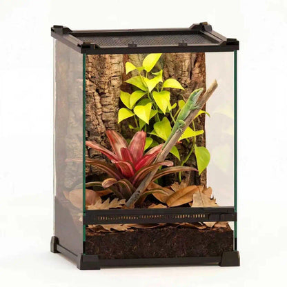 Mini Reptiel Glas Terrarium 10 "x 10" x 14" Duurzame Reptielen Habitat Tank met Hittebestendig Aluminium Frame Enkele Swingdeuren voor geen Jam door Zand en Andere Puin