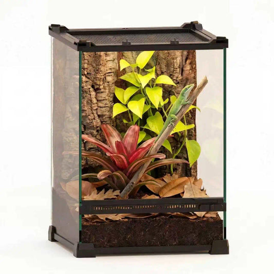 Mini Reptiel Glas Terrarium 10 "x 10" x 14" Duurzame Reptielen Habitat Tank met Hittebestendig Aluminium Frame Enkele Swingdeuren voor geen Jam door Zand en Andere Puin