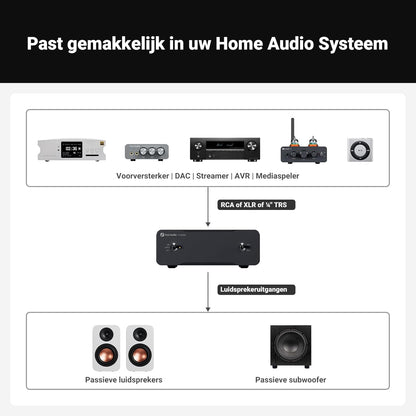 Fosi Audio Twee V3 Mono Vermogensversterkers met TPA3255 240W, Mini Monoblock Klasse D Versterker voor Home Theater AVR Receiver Component, RCA/XLR Gebalanceerde Ingangen 48V/10A Vermogen