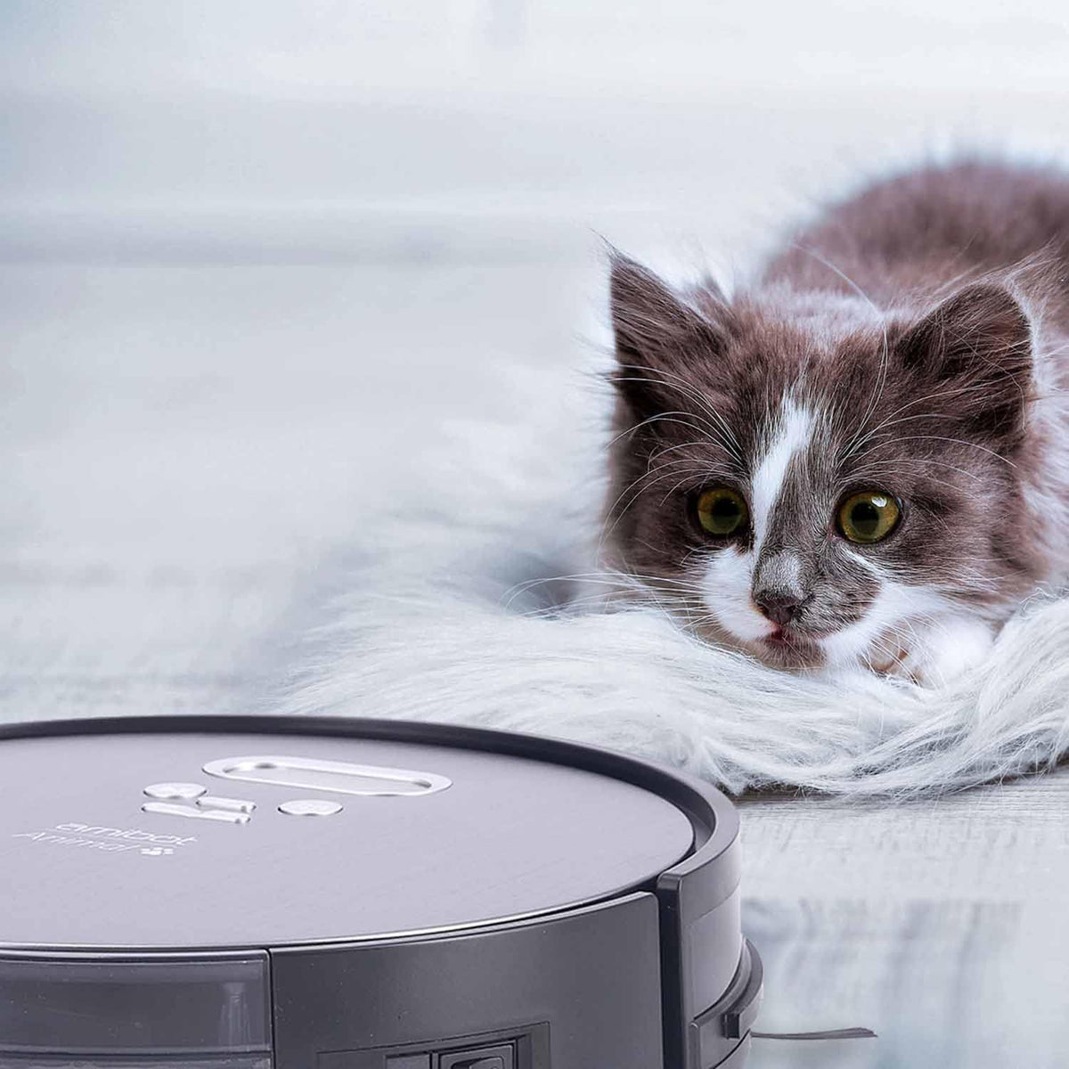 AMIBOT Animal Premium H2O Connect - Robotstofzuiger met dweilfunctie
