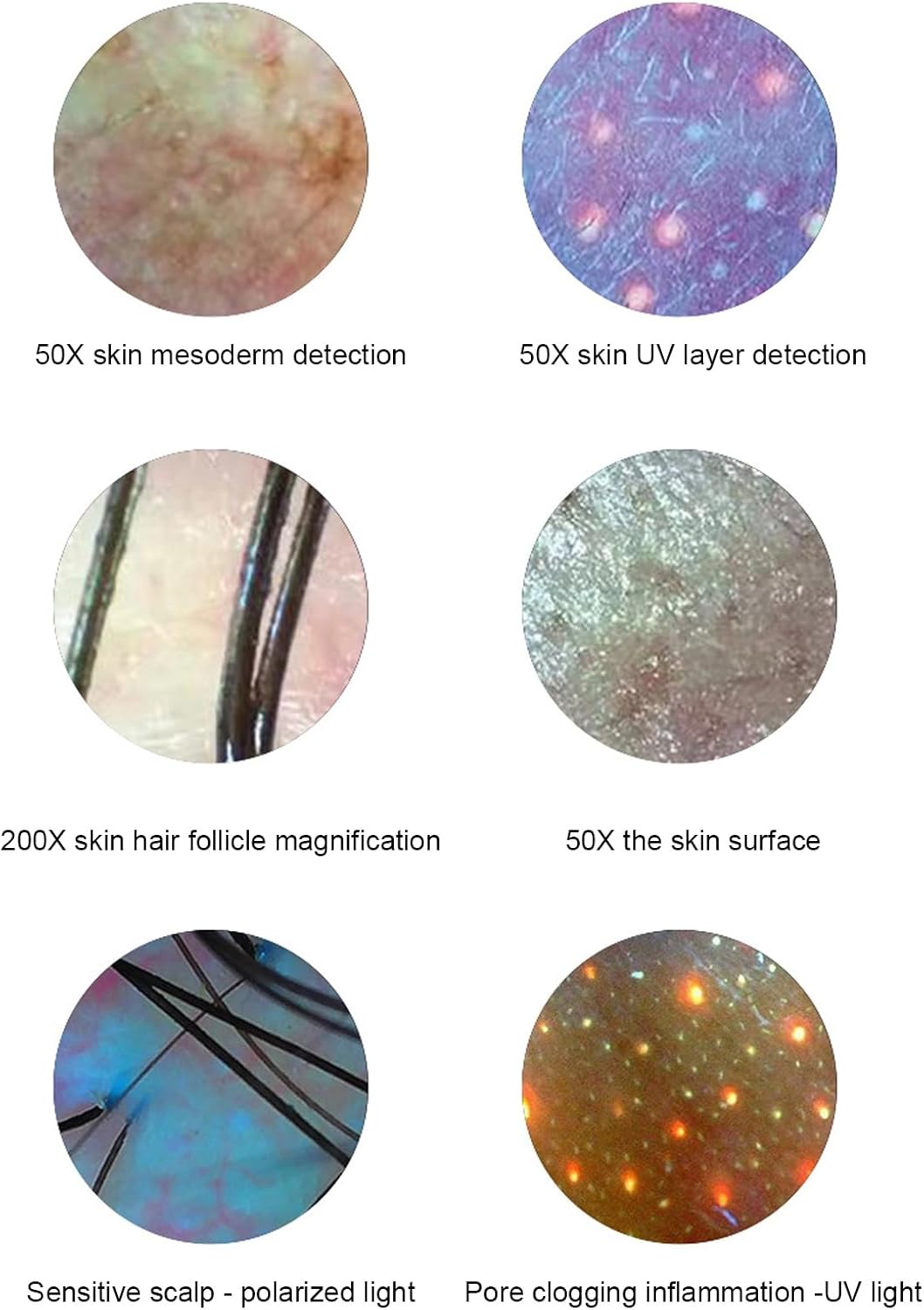 Haaranalysator voor huiddiagnose, 15,6 inch 50 x 200 X-objectief, huid-haar-hoofdhuiddetector, hoofdhuidmicroscoop, haarfollikel-huid-hoofdhuidanalysator met 3 lichtmodi, volledig beeld, contrastopslag (EU)