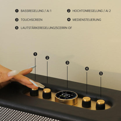 CHOYONG Maestro C2 WiFi-luidspreker Draadloze Bluetooth Smart Speaker, Drie-weg luidsprekersysteem, Internet Radio Global Station, platenspeler compatibel met RCA-ingang, Choyoung C2