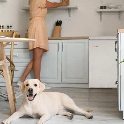 UNIVERSALBLUE 2-in-1 freezer, 147 l, white, fridge and freezer, mechanical operation, silent system, shipping and conversion on the floor included - QUORE