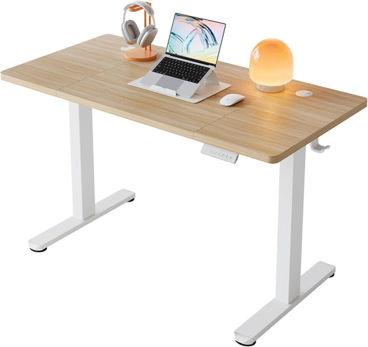 HUANUO In hoogte verstelbaar bureau met USB-oplaadpoort, 120 x 60 cm, 4 hoogte-instellingen, elektrisch bureau voor thuis, kantoor en computer