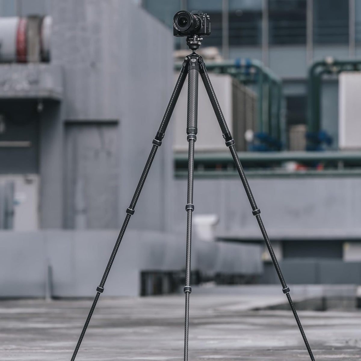 Falcam TreeRoot F38 Pro Statief van koolstofvezel, 155 cm, snelsluiting, belasting 5 kg, F22-interfaces, 1/4 inch schroef, schoudergaten voor DSLR, spiegelloze videocamera's (R140T)