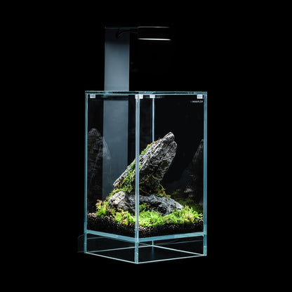 Terrarium van extra helder glas met geïntegreerde led, elegant design voor natuurlijke ecosystemen en watertuinen, afmetingen 15 x 15 x 25 cm (h x b x h)