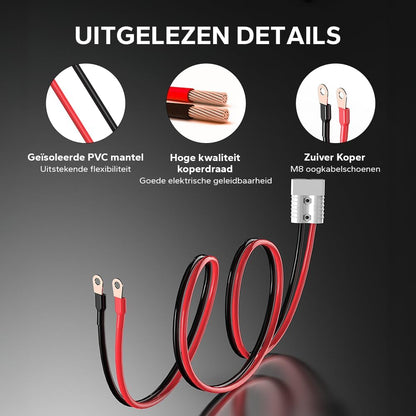 LiTime 29,2V 20A LiFePO4 Lithium Batterijlader, Opzetbare LiFePO4 Acculader met Koelventilator en Meerdere Veiligheidsbeveiligingen, Li-ion Acculader is Ontworpen voor het Opladen van LiFePO4-accu's