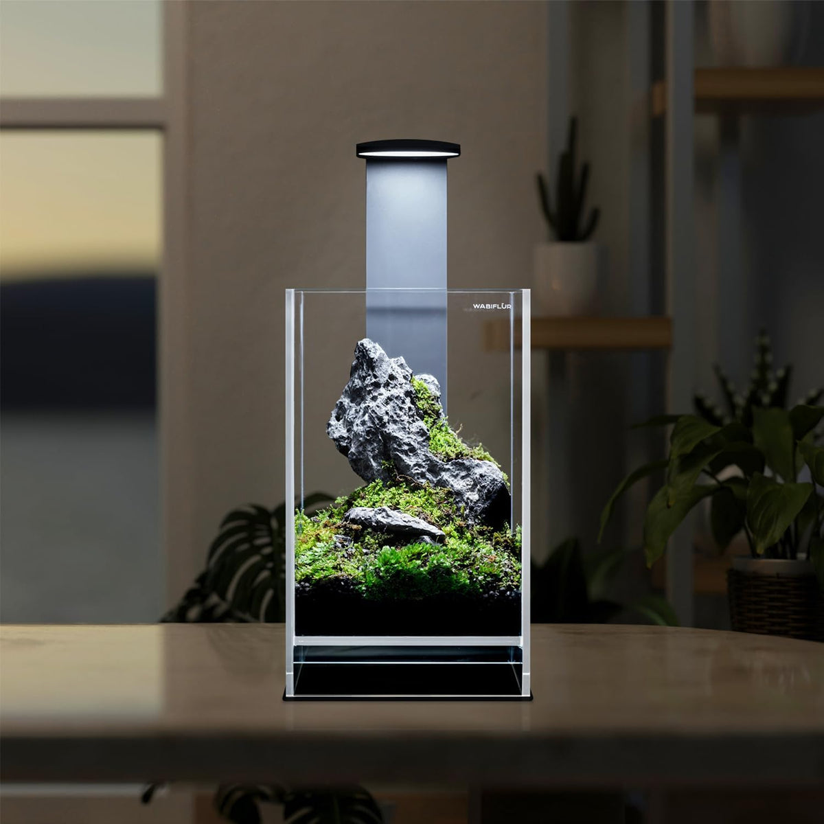 Terrarium van extra helder glas met geïntegreerde led, elegant design voor natuurlijke ecosystemen en watertuinen, afmetingen 15 x 15 x 25 cm (h x b x h)