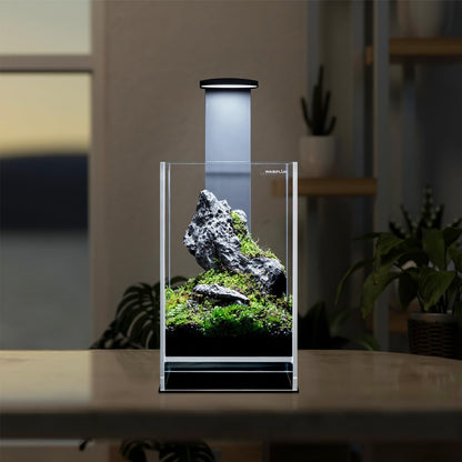 Terrarium van extra helder glas met geïntegreerde led, elegant design voor natuurlijke ecosystemen en watertuinen, afmetingen 15 x 15 x 25 cm (h x b x h)