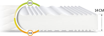 FDM Matras, 120 x 200 cm, hardheid H3/H4, hoogte 14 cm, koudschuimmatras, dubbelzijdige rolmatras, HR-schuim, 7 comfortzones, met hypoallergene, wasbare jersey overtrek, Oeko-Tex Verdura Max