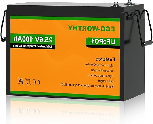 ECO-WORTHY LiFePO4 24 V 100 Ah Lithium Battery 24 V 100 Ah with BMS Protection and 4000-15000 Cycles LifePO4 for Motorhome, Camping, Solar System, Boat, Solar Panel, Household - QUORE