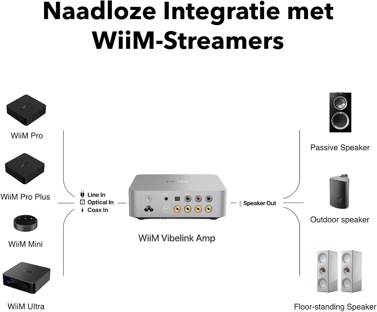 WiiM Vibelink Amp | 100W eindversterker met premium ESS 9039Q2M DAC en TI TPA3255 | Compatibel met WiiM Mini, Pro, Pro Plus en Ultra | RCA-, coaxiale en optische ingangen | Zilver