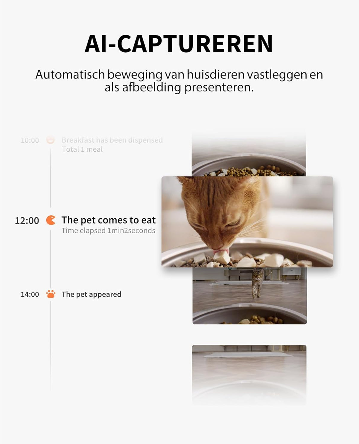 Automatische Voerautomaat – Huisdierenvoeder – Kattenvoerautomaat – Hondenvoerdispenser – Voerbak met Camera – 3 Liter Capaciteit – 1080p HD Camera met Nachtzicht