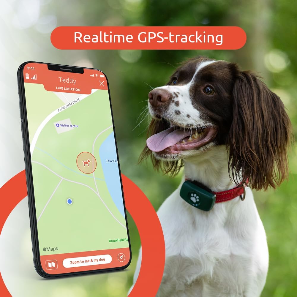 PitPat Dog GPS-tracker - Geen abonnement (Roze)