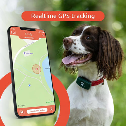 PitPat Dog GPS-tracker - Geen abonnement (Blauw)
