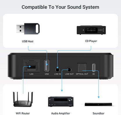 Arylic LP10 draadloze streamer, ondersteunt AirPlay 2, Google Cast, Apple Home, Spotify en Tidal, 5G WiFi en Bluetooth, voorversterker