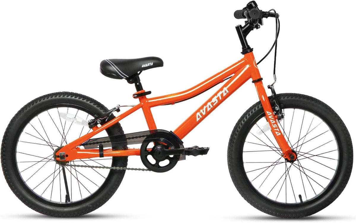 AVASTA 20 inch fiets BAG1006YS20or
