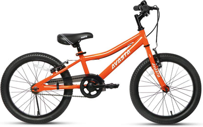 AVASTA 20 inch fiets BAG1006YS20or