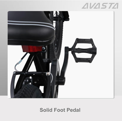 AVASTA 20 inch fiets BAG1006YS20bk