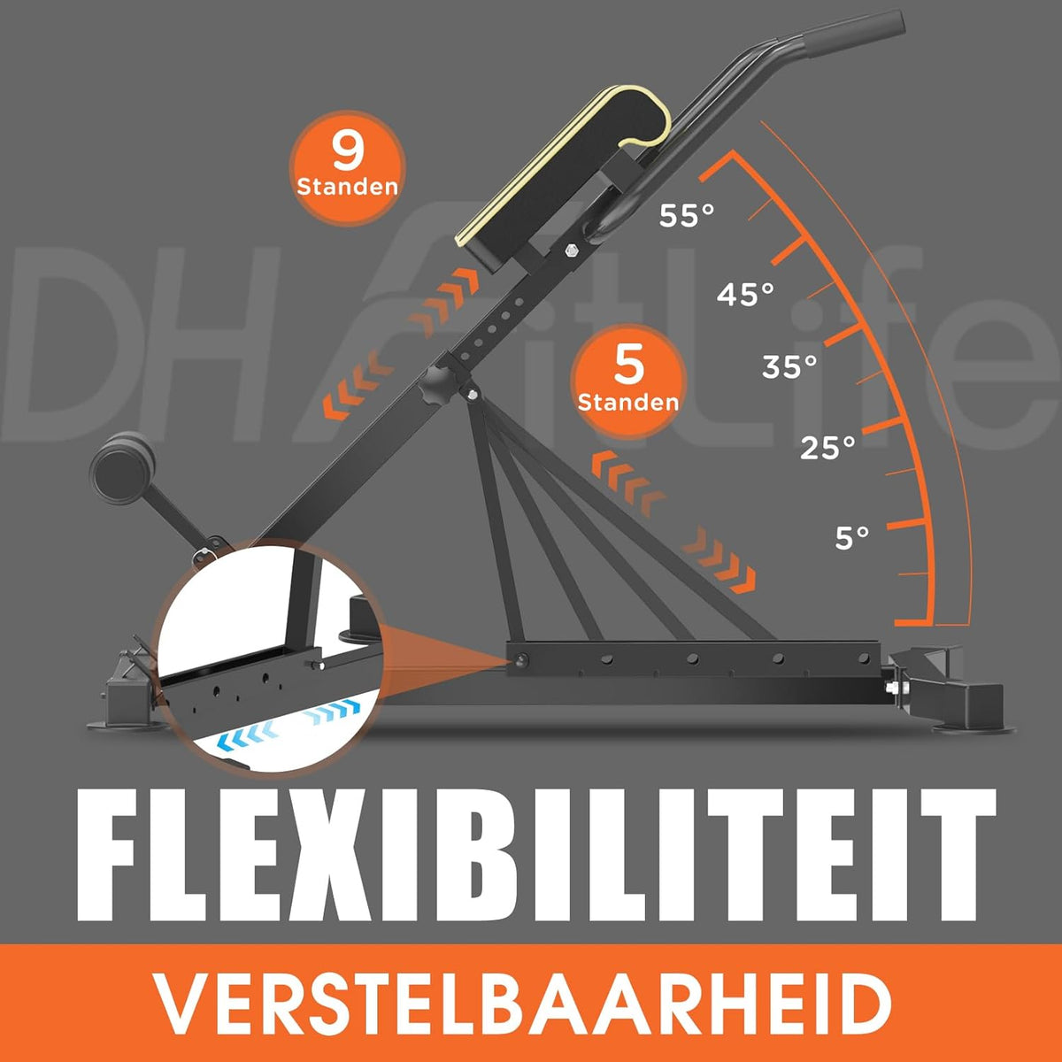 DH FitLife 5in1 Rugstrekker voor thuis | Buikspiertrainer & Rugtrainer | Hyperextension Bank | Vouwbare Verstelbare Roman Chair tot 150KG | Multifunctionele Curlbank en Halterbank