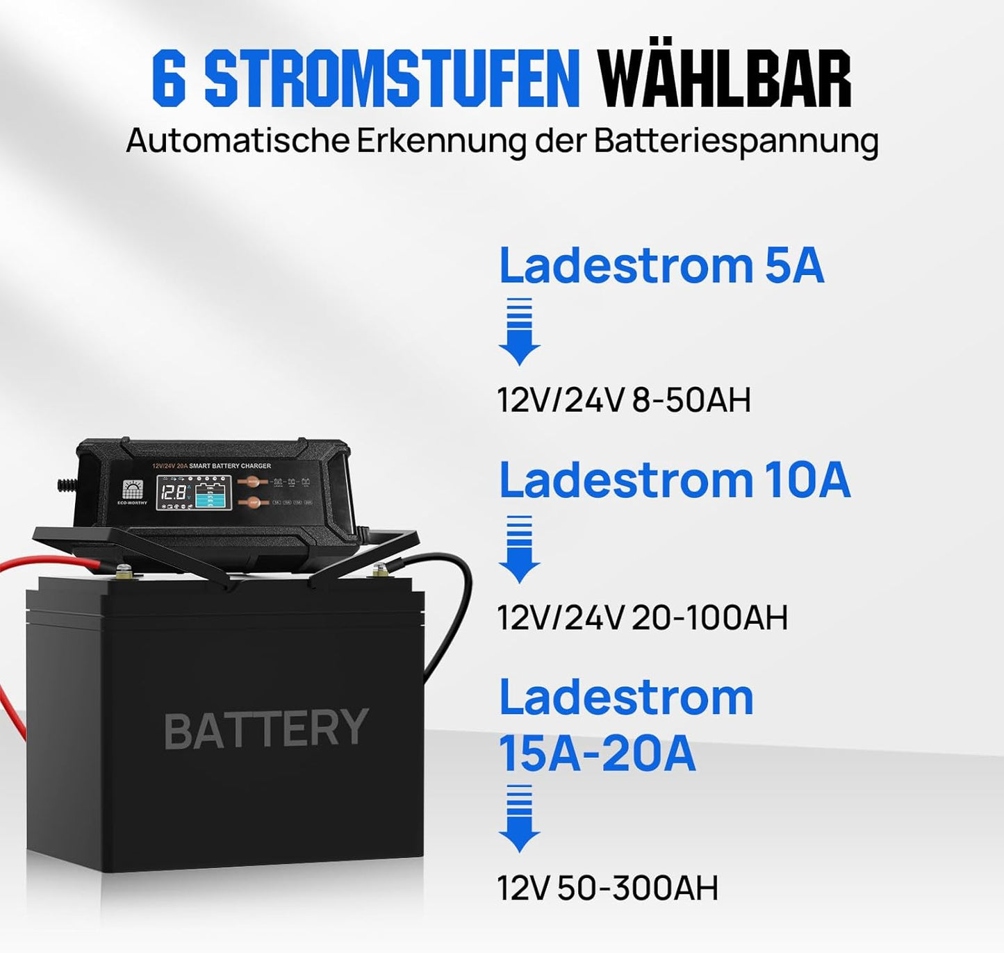 Li-ion Accu – Lithium Batterij – LiFePO4 Accu – 12V 100Ah Accu – Accu Met Oplader – Bluetooth Monitor – Laag Temperatuurbescherming