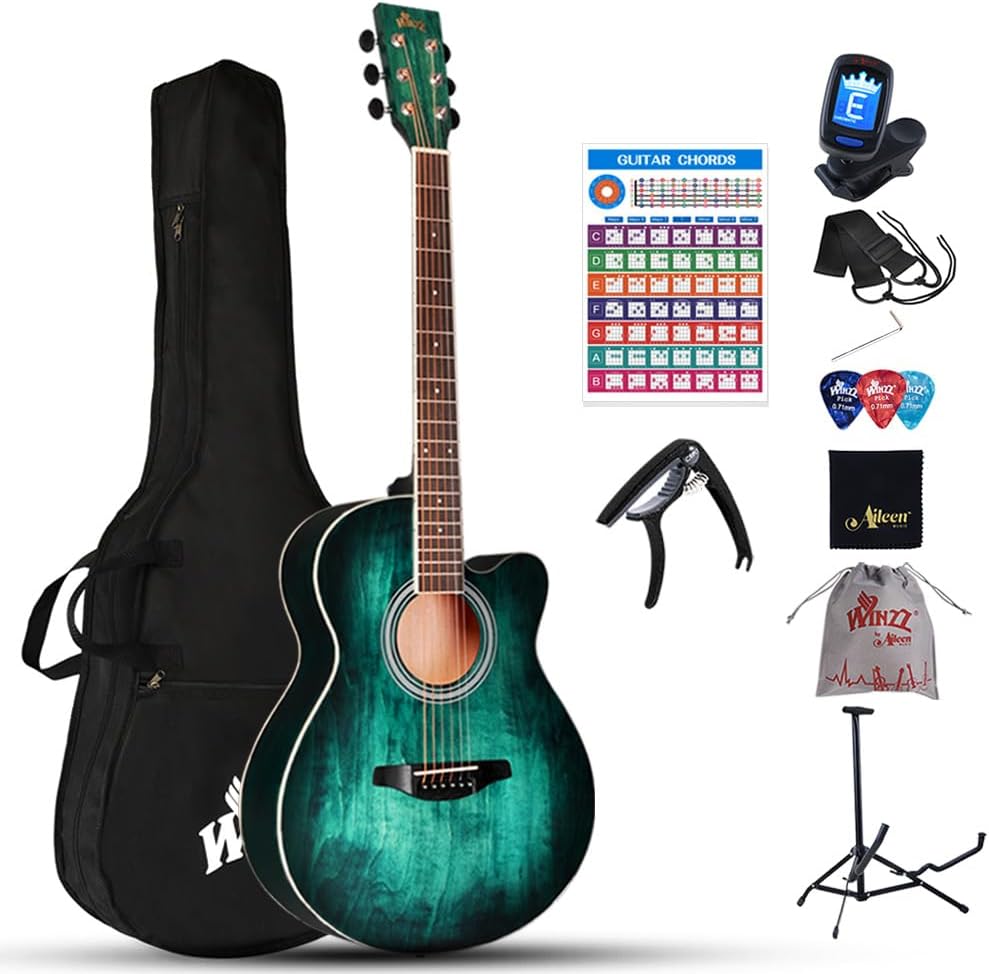 Winzz 40 Inches Akoestische Staalsnarige Gitaar Beginner, Elegant Uniek Kleurenontwerp (Blauw-groen)