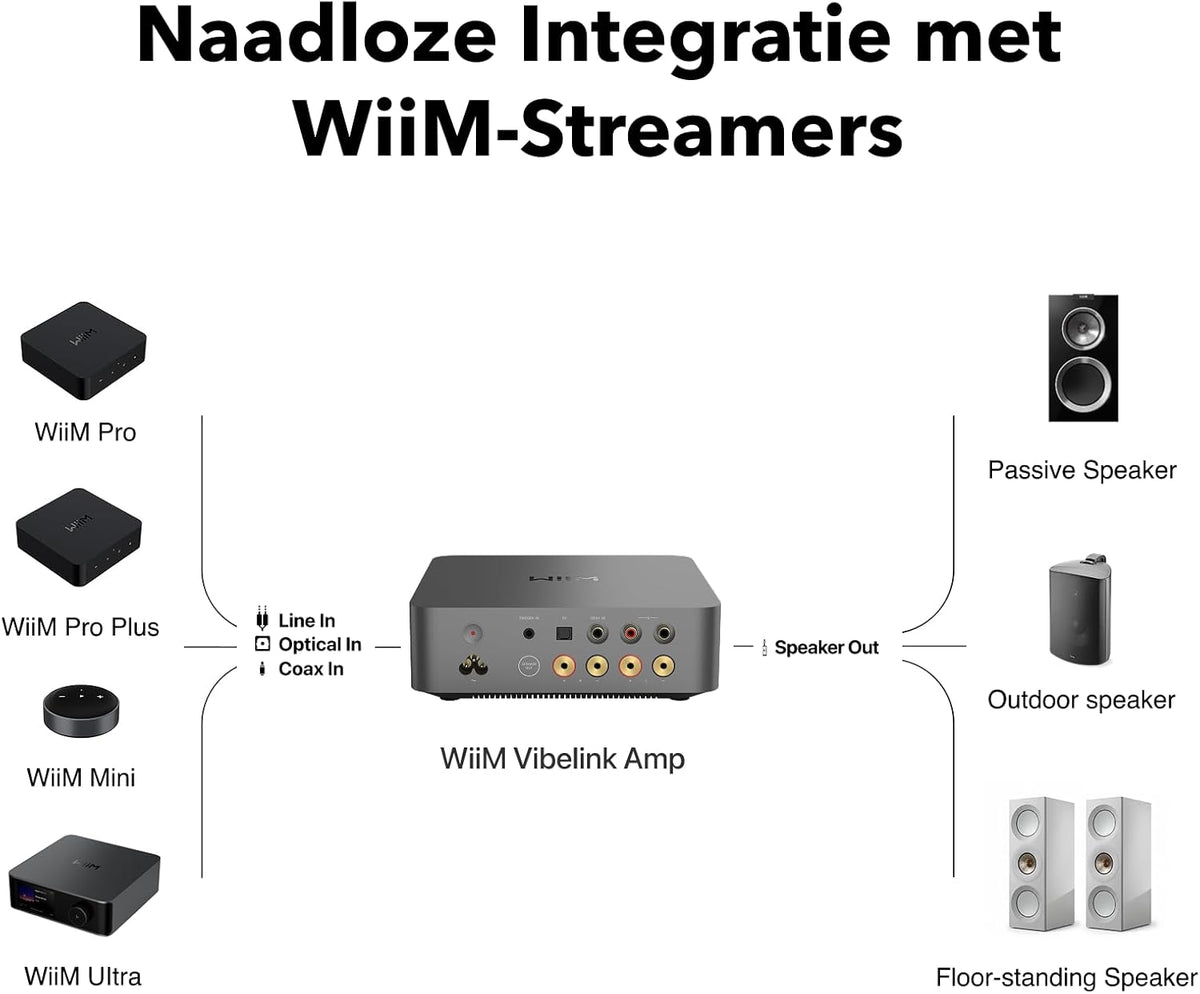 WiiM Vibelink Amp | 100W versterker met premium ESS 9039Q2M DAC en TI TPA3255 | Compatibel met WiiM Mini, Pro, Pro Plus en Ultra | RCA-, coaxiale en optische ingangen | Space Gray