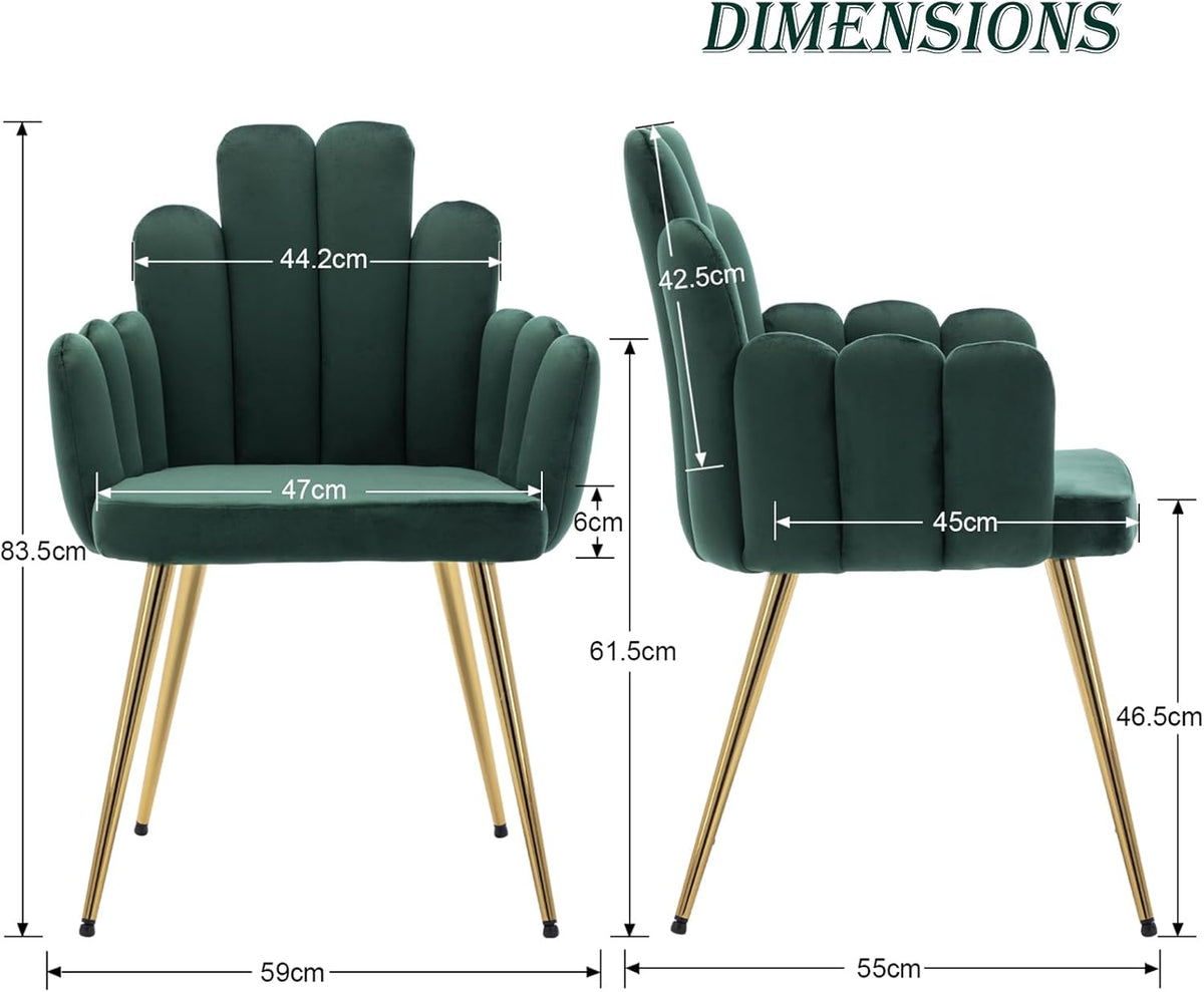 chairus Set of 2 Velvet Dining Chairs Kitchen Upholstered Seat Recliner Bedroom Living Room Accent Chair with Metal Legs (Green) - QUORE