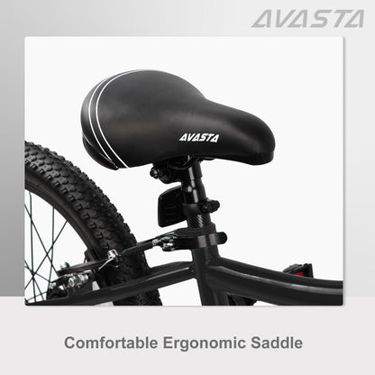 AVASTA 20 inch fiets BAG1006YS20bk