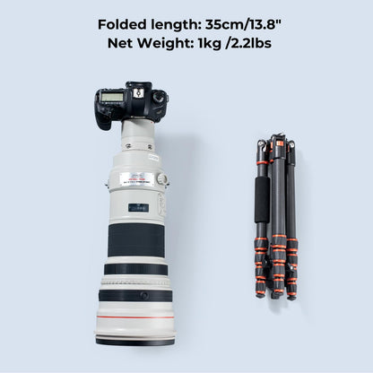 K&F Concept Camera Statief,Lichtgewicht Carbon Reisstatief, Compacte Fotografie Statief met Monopod, 360° Balhoofd en Vrijgaveplaat voor DSLR Camera voor DSLR-camera C225C0+BH-25 (BA225)