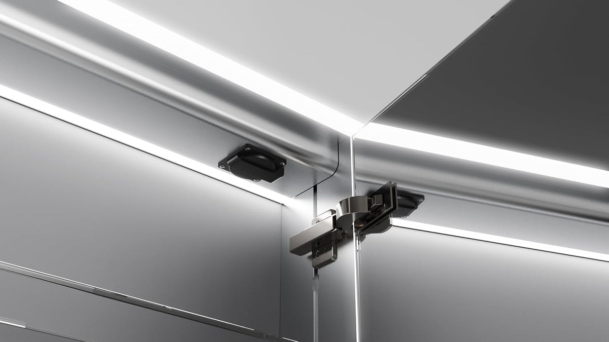Talos Silver Magnus Led-spiegelkast, 80 x 70 x 13 cm, badkamerdesign spiegelkast met rondom ledverlichting, neutraal witte lichtkleur aluminium, mat zilver, dubbelzijdig gespiegeld, 2 glazen planken