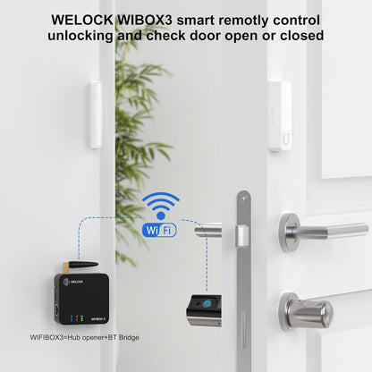 Bluetooth Gateway – Slimme Deurslot Adapter – Smart Home Hub – Afstandsbediening Module – Bluetooth Controller – Ontgrendeling Op Afstand – Alexa Spraakbediening