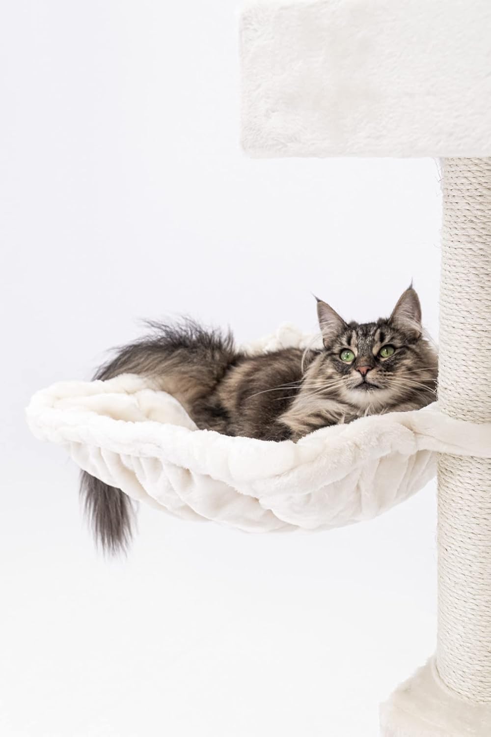 Krabpaal – Krabmeubel – Kattenboom – Kattenhuis – Kattenmand – 134 cm Hoog – Extra Dikke Sisalstammen 9 cm – Luxe Hangmat & Wasbaar Kussen – Crème