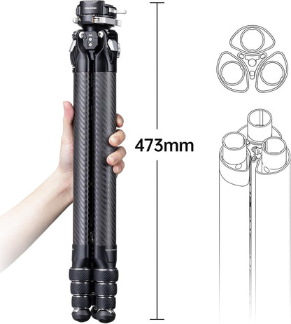 FALCAM TreeRoot Quick Lock Reisstatiefset, F38 Pro koolstofvezel met ontgrendelingscentrum kolom en balhoofd (R141K-320P) - T00A4301