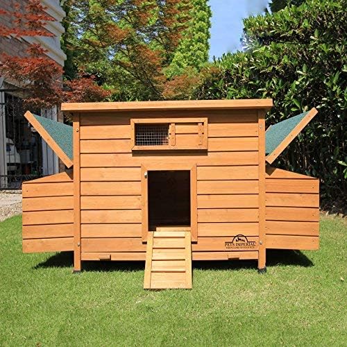 Pets Imperial® Balmoral Chicken Coop Run 1.40 m - Outdoor Wooden Chicken Coop with Net Frame - 140 cm (W) x 107 cm (D) x 76 cm (H) - QUORE