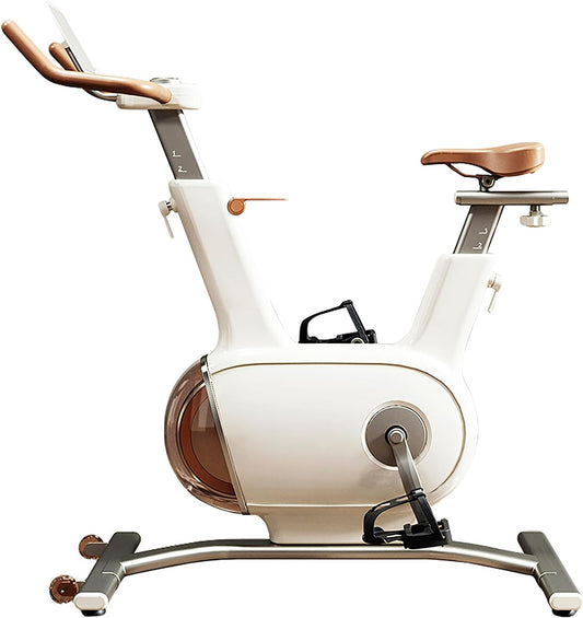 Sophy W1 Indoor Exercise Bike with Double Flywheel 10 kg Silent Stationary Bikes for Home - QUORE