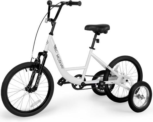 MOSHAY 20 inch Adaptieve Fat Training Wheel Bike