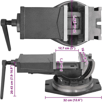 2-Assige Bankschroef – Bankschroef – Werkbankklem – Klemmen – Gietijzeren Bankschroef – Bekbreedte 160 mm – Kantelbaar 0-90° – Verstelbare Hoogte 200-430 mm