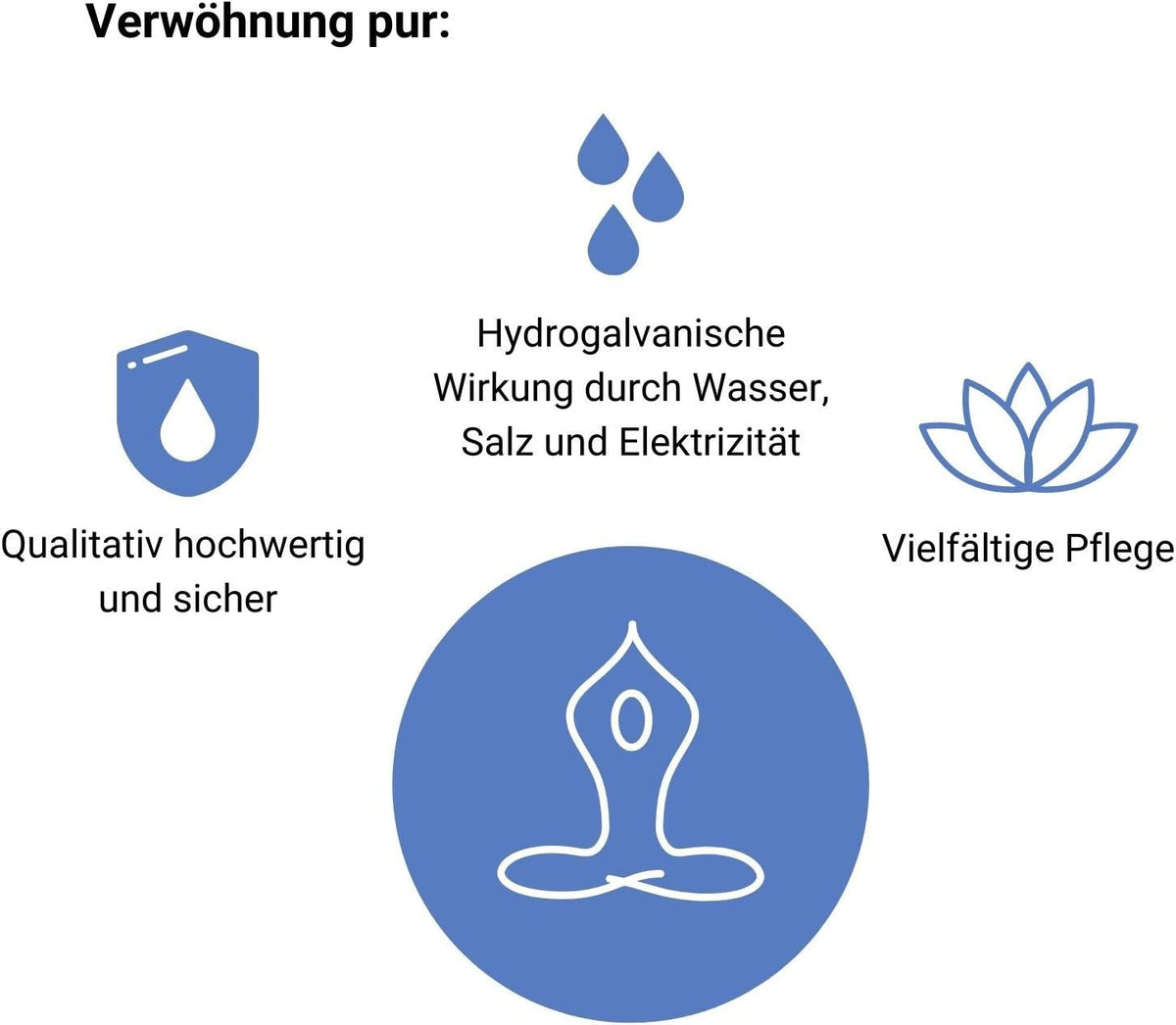 Ion Cleanser Deluxe Ionic Spa Voetenbad – Ionen Voetenbad – Hydrogalvanotherapie Apparaat – Voetenelektrolyse Apparaat – Voetenbad Apparaat – Aluminium Koffer – Groot LCD-Display