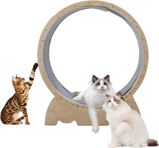 Katten Loopwiel – Kattenrenrad – Katrenwiel – Katten Trainingswiel – Kat Speelwiel – 83 cm Diameter – Geluidsarm & Stabiel Houten Ontwerp - QUORE