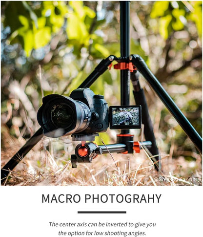 K&F Concept 240cm Camera Statief, Professioneel Video Statief met Centrale Kruis Kolom met Pan Bal Hoofd en Loslaat Plaat voor DSLR Camera T254A8+BH-28L(SA254T1).